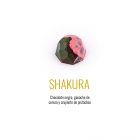 MH Chocolate - Bombón Shakura