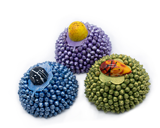 MH Chocolate - Bombones