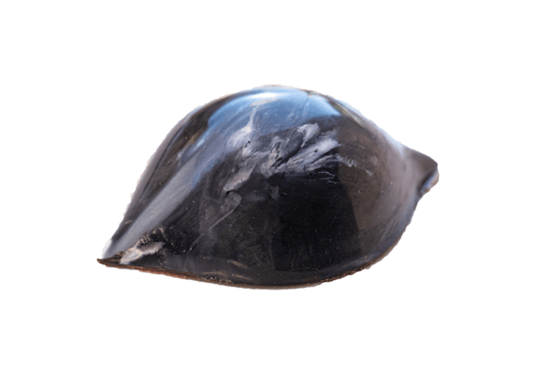 MH Chocolate - Bombón Ahumado