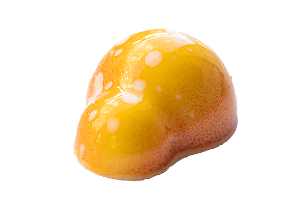 MH Chocolate - Bombón Coco Loco